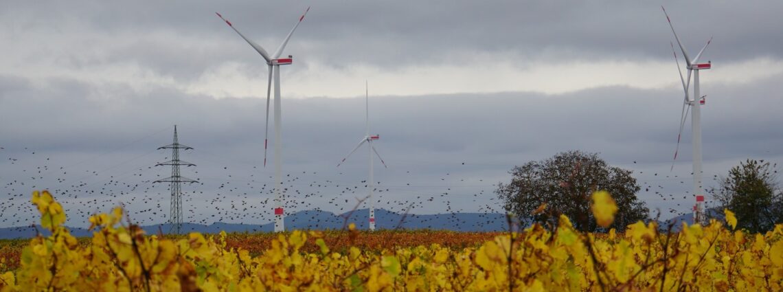 Fahrradtour: „Energiewende praktisch“